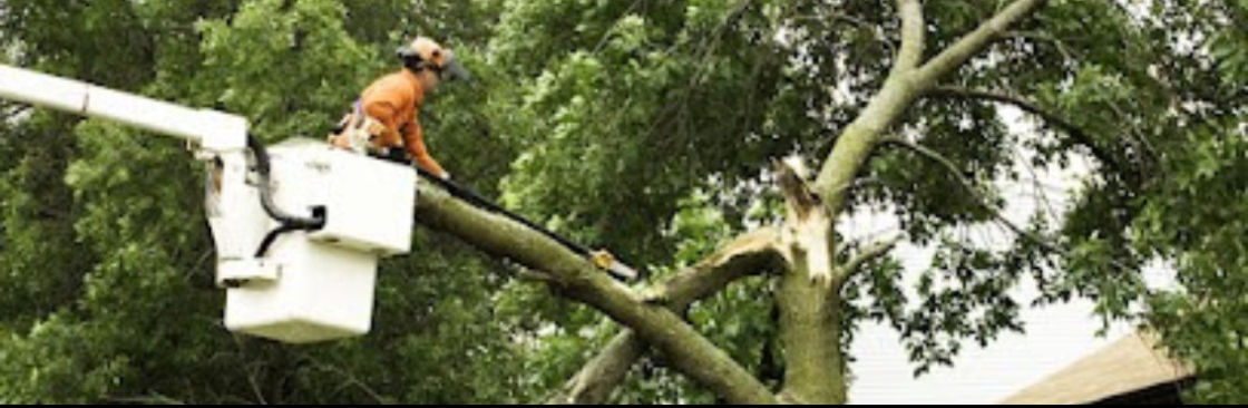 Alpha Arborcare LLC Cover Image