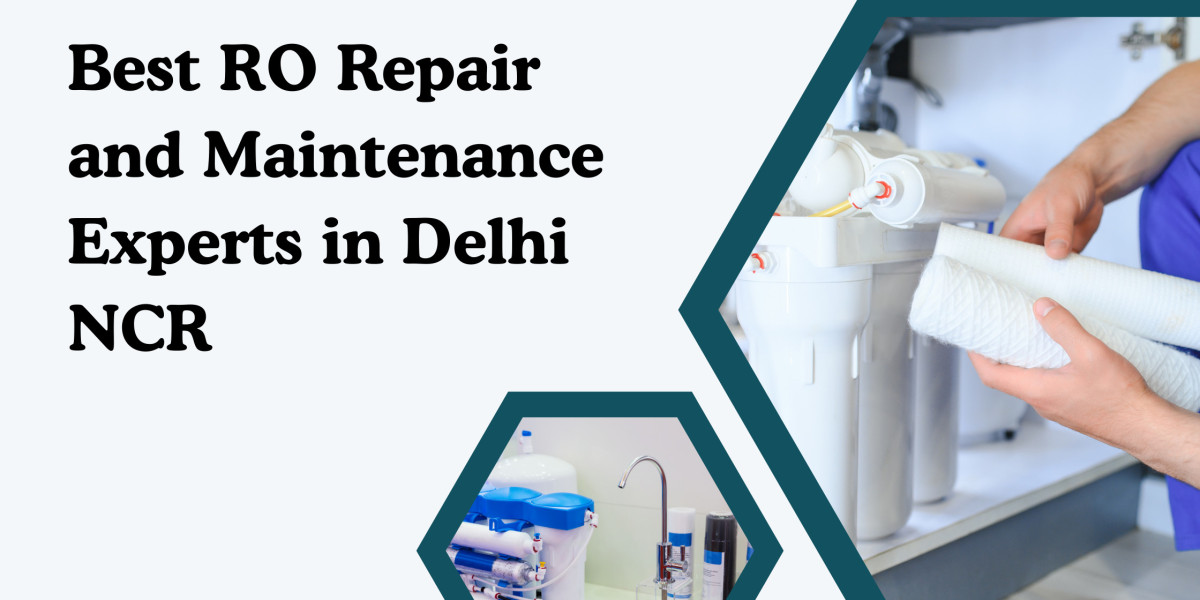 Best RO Repair and Maintenance Experts in Delhi NCR