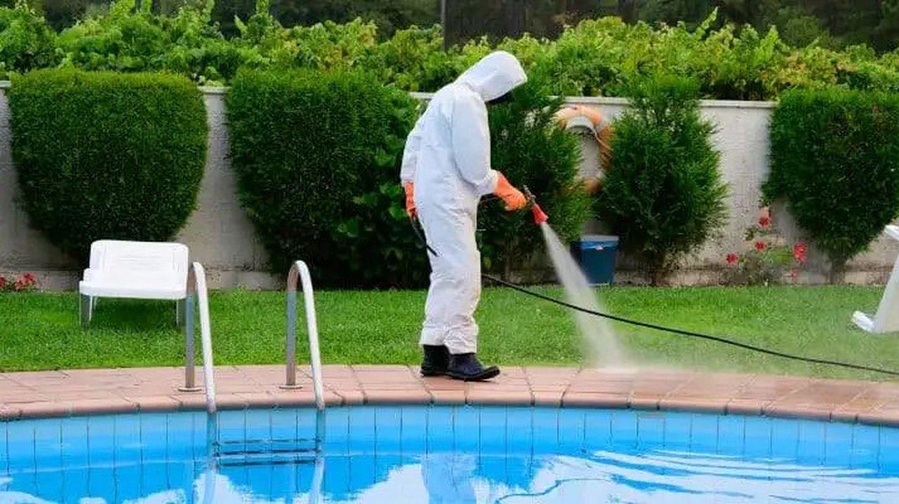 How a Pool Cleaning Service Keeps Swimmers Safe from Harmful Bacteria and Algae? | Articles | Atlas Pools | Gan Jing World - Technology for Humanity | Video & Movie Streaming