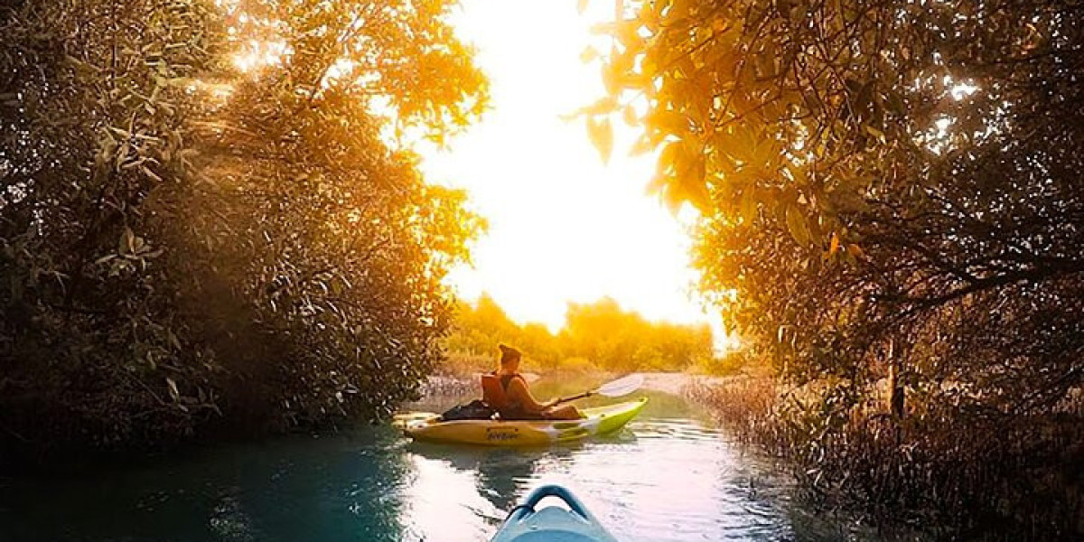 Kayaking Abu Dhabi – A Peaceful Adventure Through Mangrove Waters