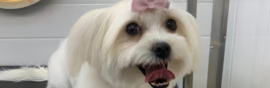 Fluffy Tails Qatar Cover Image