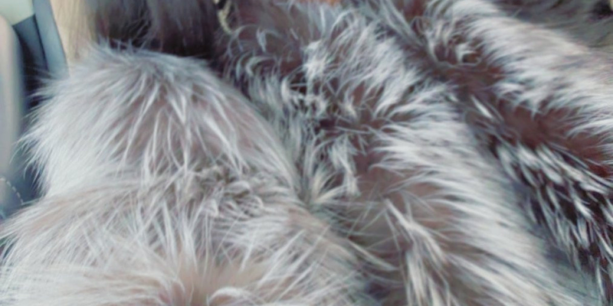 Trusted Goa Call Girls  9715644000 | Top-Rated Independent Call Girls Girls With Fast Booking All Areas