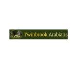 Twinbrook Arabians Profile Picture