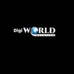 Digiworld Solution Inc Profile Picture