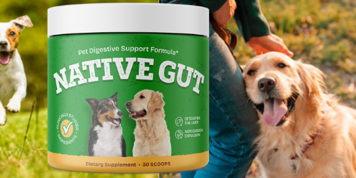 NativeGut for Dogs Supplement: What Pet Owners Should Know Before Buying (2026 Update)