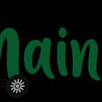 Harmain Ziarah Profile Picture