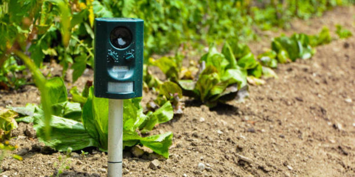 How Automation Is Reshaping Pest Control Across Industries