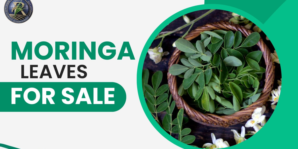 Moringa Leaves for Sale: A Complete Guide for Importers & Wholesalers