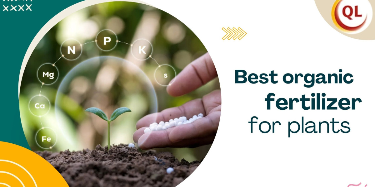 Best Organic Fertilizer for Plants: A Complete Farmer’s Guide