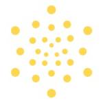 Shine bright Profile Picture