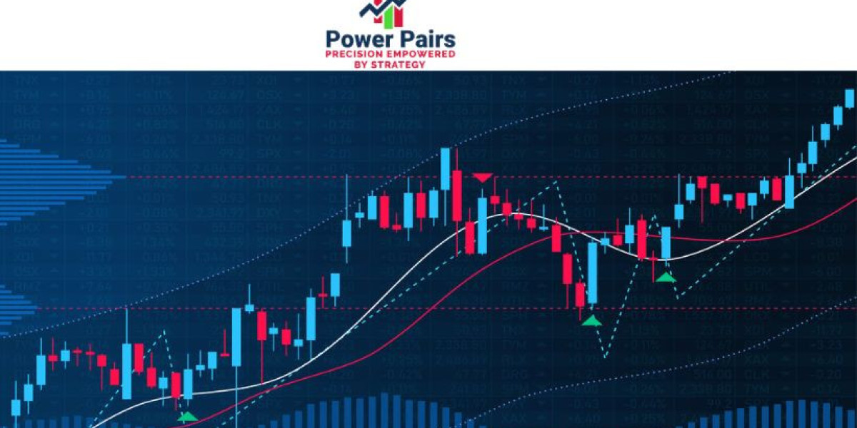 Risk Management in a Professional Pair Trader Portfolio