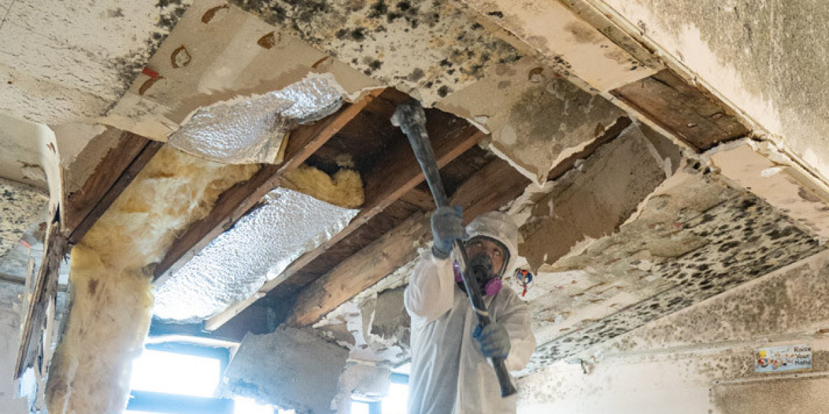 The Full Restoration: Rebuilding Your Home After Mold Remediation