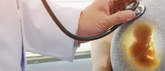 Jenny Thomas Profile Picture