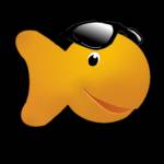 Stella Pitch profile picture