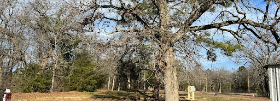 Michael Ballinger Realtor Cover Image