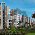 Saima Green Profile Picture