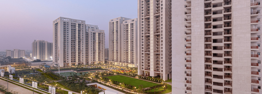 Mapsko Group Cover Image