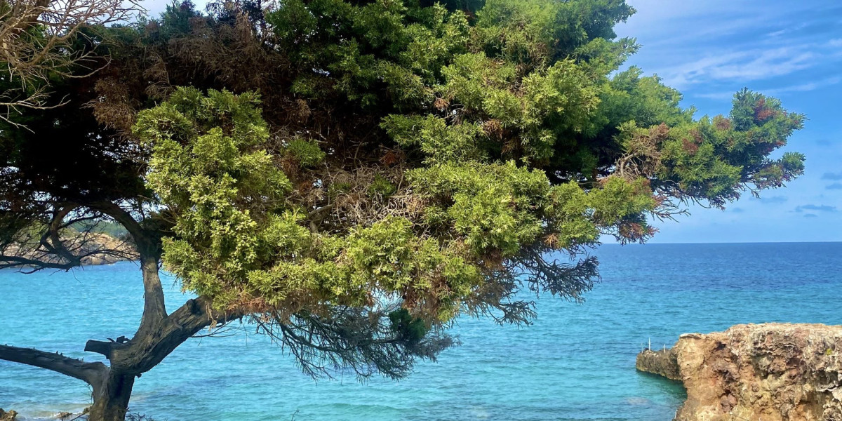  Retraite yoga pour femmes