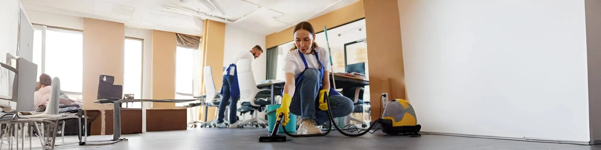 Professional House Cleaning Services in San Diego | Green Frog