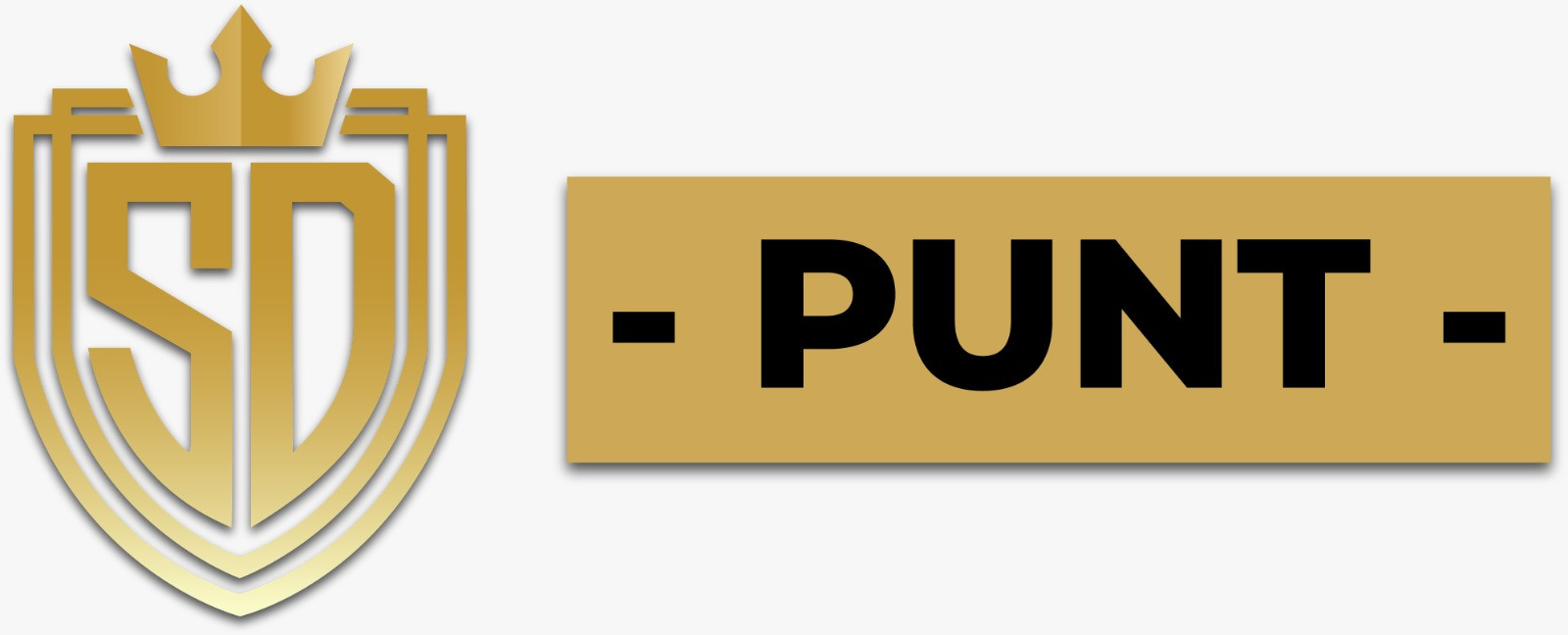 sdpuntt Profile Picture