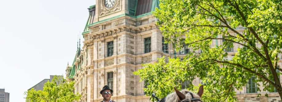 Batis Immigration Cover Image