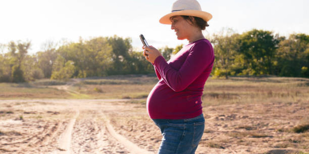 Fertility Tourism Market Developments Transforming Global Healthcare Access