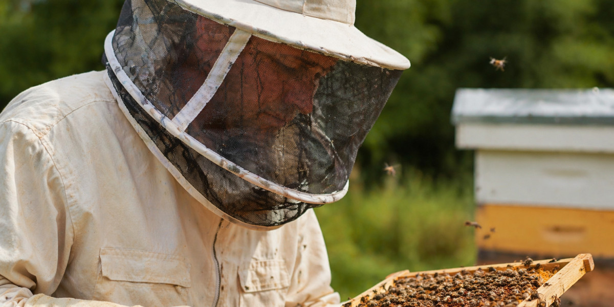 How to Pick the Best Beekeeping Veil for Your Needs