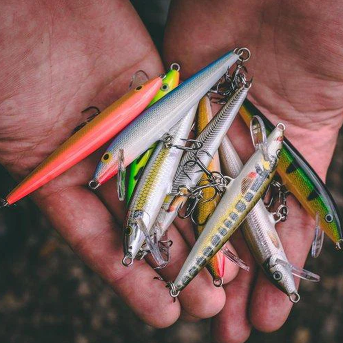 The Secret to Your First Big Catch: A Rapala Guide – Daily Knowledge
