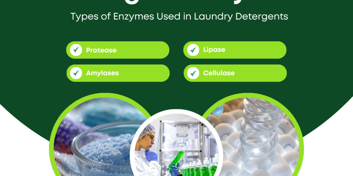 Types of Enzymes Used in Laundry Detergents