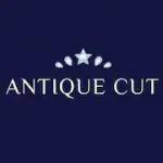 Antiue cut Profile Picture