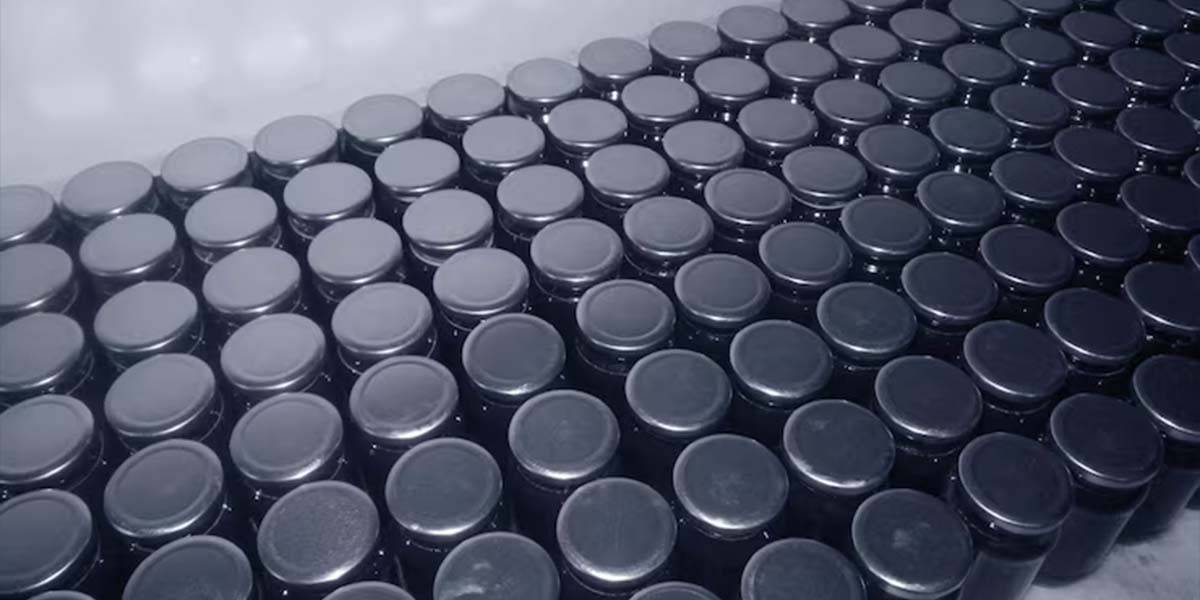 D Size Alkaline Battery