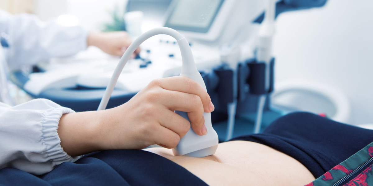 Why Choose The Ultrasound Program In Ottawa: Key Features And Opportunities Explained