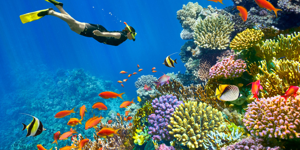 Things to do in Sharm El Sheikh 2026 – Ultimate Travel & Activities Guide
