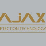 gold detectors Profile Picture