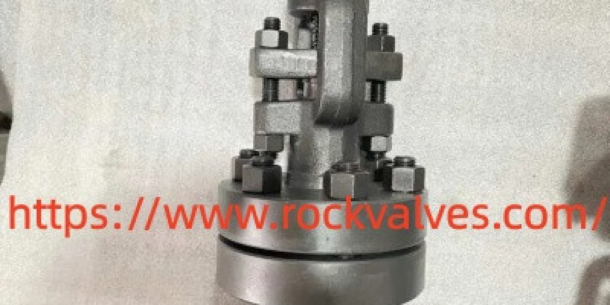 Rockvalves Low Temperature Steel Globe Valve and what really changes in cryogenic lines